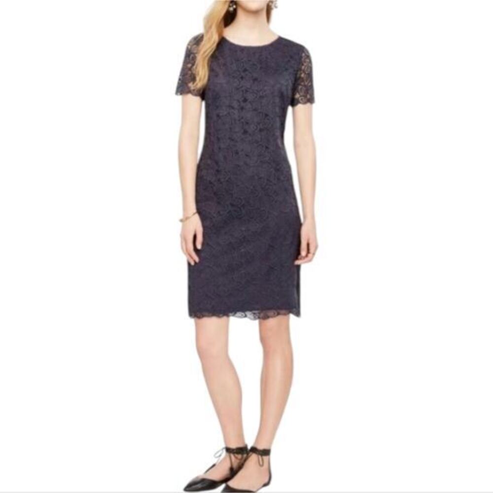 Ann Taylor Bue Grey Lace Shift Dress Scallop Edge Style Women's Size 4 New - Picture 2 of 9